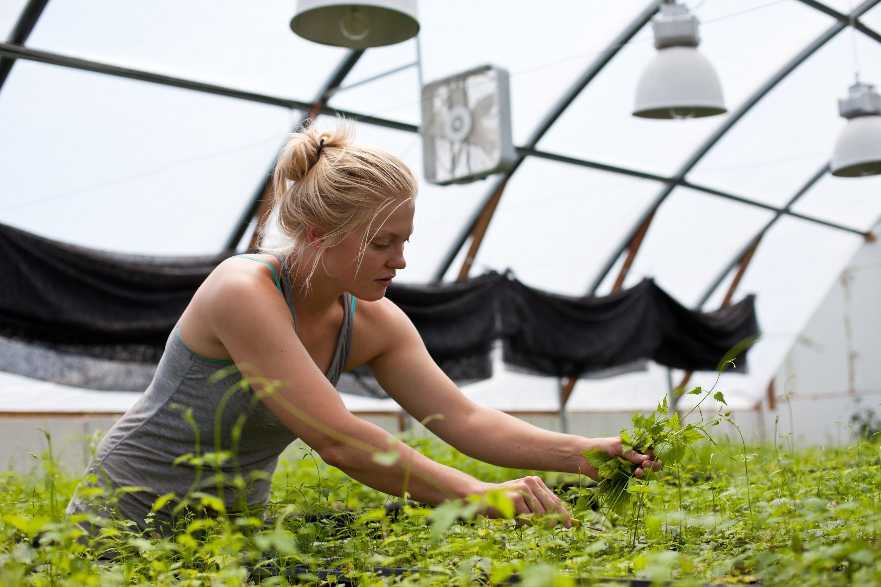 Hannah Matousek, farm operations manager at Gorst Valley Hops